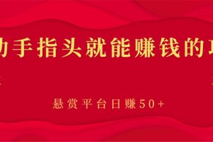 （2863期）新手小项目：动动手指头就能赚钱的项目，悬赏平台日赚50+