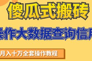 （1538期）傻瓜式搬砖操作大数据查询信用赚钱方法：助你快速月入6万全套操作教程