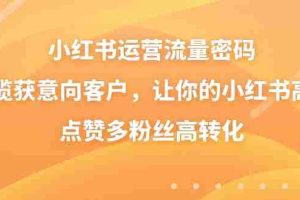 （8764期）小红书运营流量密码，揽获意向客户，让你的小红书高点赞多粉丝高转化