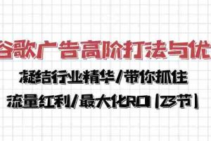 （10287期）谷歌广告高阶打法与优化，凝结行业精华/带你抓住流量红利/最大化ROI(23节)