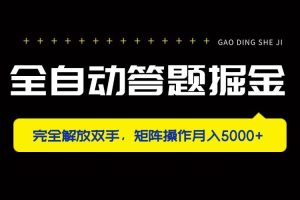 (14337期)全自动答题掘金,完全解放双手,矩阵操作月入5000+