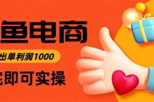 （15760期）闲鱼高利润电商，入门到出单只需3小时，每天利润1000