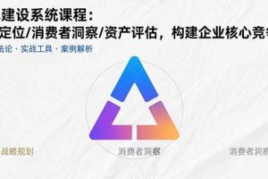（15772期）品牌建设系统课程：战略定位/消费者洞察/资产评估，构建企业核心竞争力